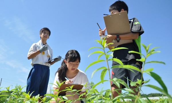 ジュニアビレッジ「参加申込み」 イベント画像1