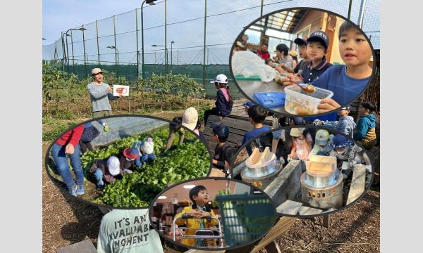 【預かり保育付き野外炊事体験】小学生だけで特製カレーライス作り@狭山 s92 イベント画像1
