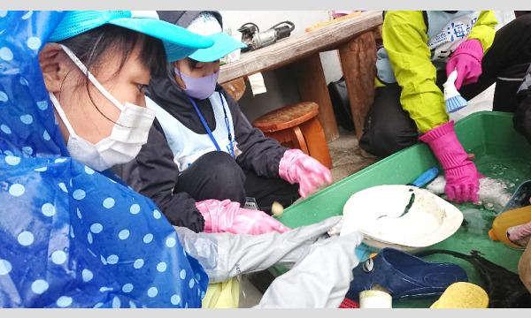 九十九島水族館海きららでイルカトレーナーになろう！＠長崎県 イベント画像2