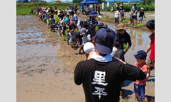 6歳から本格お仕事体験！稲刈りから地酒造りに挑戦しよう！ in 狭山 イベント画像2