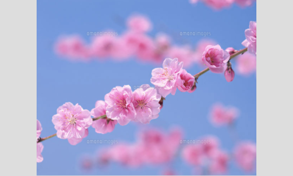 反射の統合ワーク回数券60分６回