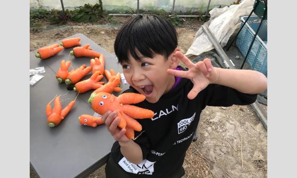 初回無料『やさいの丘探検隊』隊員募集中【岸和田市】豊かな自然の中で土に触れる、さあ、一緒に新鮮な世界へ飛び出そう イベント画像3