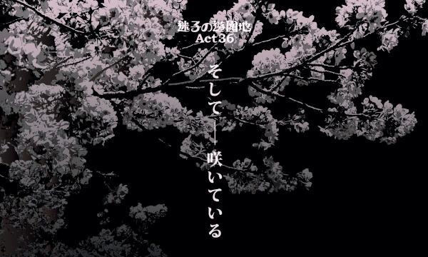 迷子の遊園地Act36『そして―咲いている』 in静岡イベント