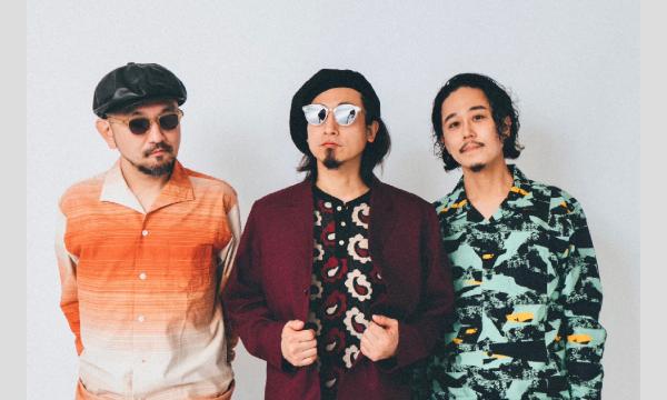 韻シストバンドLIVE in ニセコ　 in北海道イベント