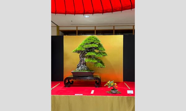 第95回銘風盆栽展 イベント画像2