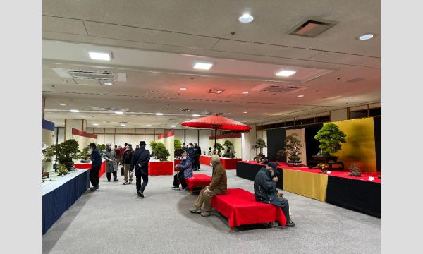 第95回銘風盆栽展 イベント画像3
