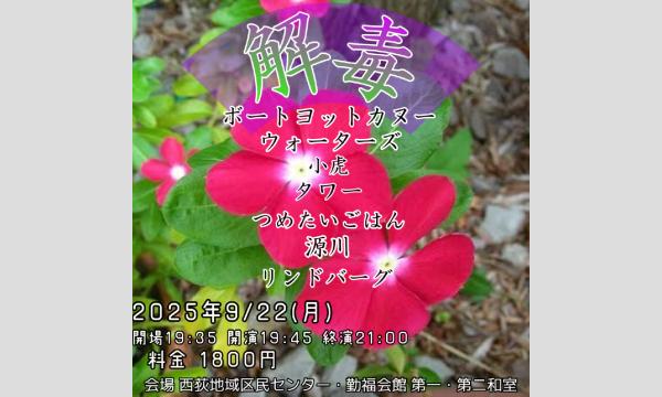 解毒