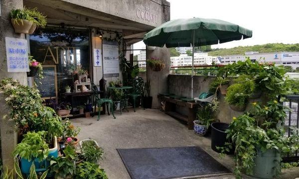 「星文昭 南の楽園ツアー 2022」 イベント画像3