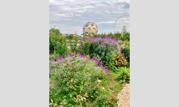 中国はいかに電気自動車を主流にしたのか（2）【英語で学ぶ大人の社会科】第100回 9/7（日）20時＠オンライン