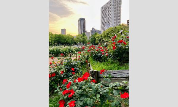 大格差：中間層の凋落【英語で学ぶ未完の資本主義】第19回7/27（日）20時＠オンライン