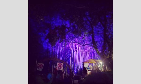 Chintamani Festival 2026 イベント画像2