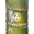 Cintamani Festival 実行委員会のイベント