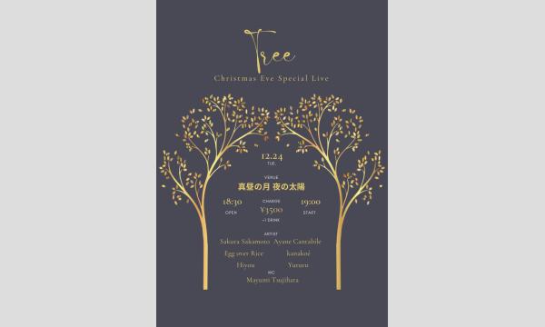 1224「Tree-Christmas Eve Special Live-」 イベント画像1