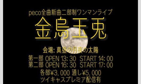 ２月５日(日)peco全曲新曲二部制ワンマンライブ 「金烏玉兎」 イベント画像1