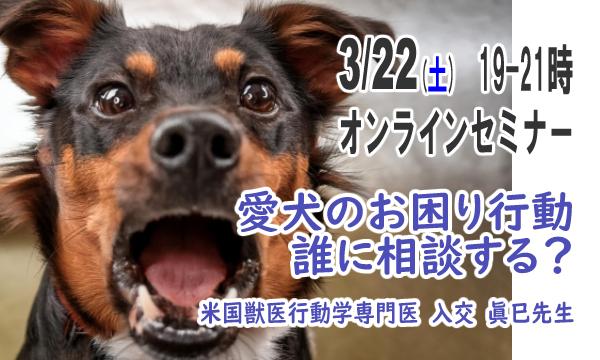 オンラインセミナー「犬と人間の関係学」2024年第6回　愛犬のお困り行動　誰に相談する？ イベント画像1