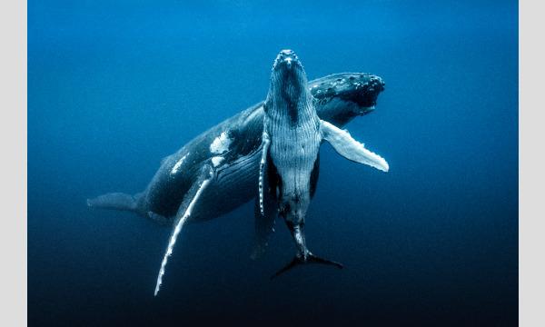 サロン ド パルファン【ステージ】10月19日・23日<サウザンドカラーズ> イベント画像1