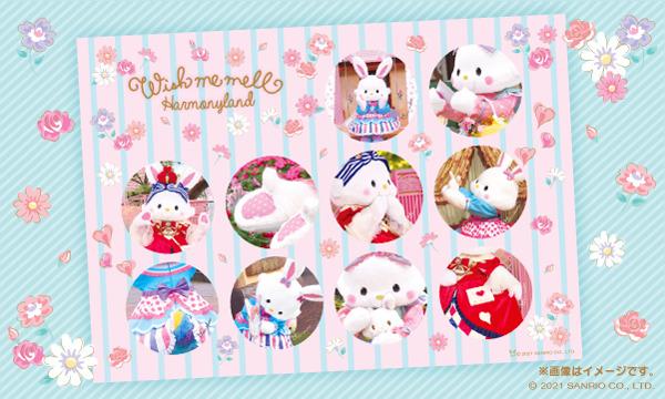 2021.9/18(土)開催分～20組限定！「ウィッシュミーメル／10th