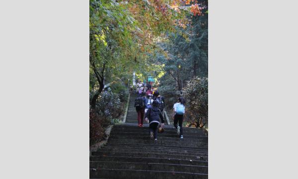 第39回 日本一の石段 アタック・ザ・日本一 イベント画像2