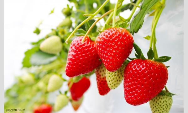 あすか交通株式会社の【そらまめツアー】3/28（土）里山美景と美味を楽しむ房総ゆるり旅 【あすか交通】イベント