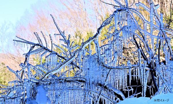【そらまめツアー】2/6（金）秩父あしがくぼ氷柱と椎茸狩り 冬の味覚と絶景の旅【あすか交通】