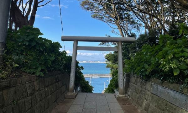 【そらまめツアー】4/27(月)青に包まれる丘へ… ネモフィラ観賞と海鮮ランチ【あすか交通】 イベント画像3