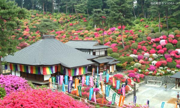 あすか交通株式会社の【そらまめツアー】5/1（金）古民家で味わう山里膳＆つつじ咲く塩船観音寺参拝【あすか交通】イベント