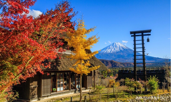【そらまめツアー】11/21(金)～22(土)名湯下部温泉と西湖いやしの里 秋の1泊旅【あすか交通】 イベント画像3
