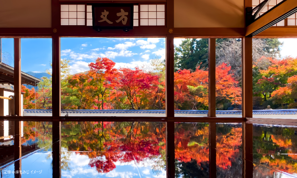 【そらまめツアー】11/28（金)床もみじと心にしみる詩の世界へ…宝徳寺と富弘美術館【あすか交通】