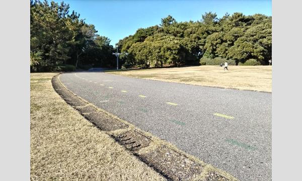 【ウルトラマラソン実践練習会】4時間走@稲毛海浜公園 イベント画像2