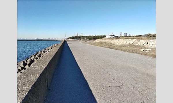 【ウルトラマラソン実践練習会】4時間走@稲毛海浜公園 イベント画像3