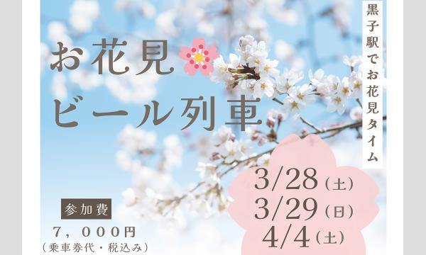 お花見ビール列車 イベント画像1