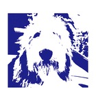 VERTERE LLC. イベント販売主画像