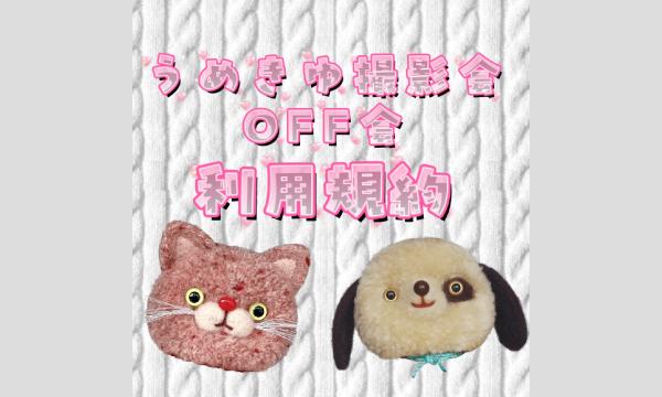 うめきゆ撮影会OFF会 利用規約 イベント画像1