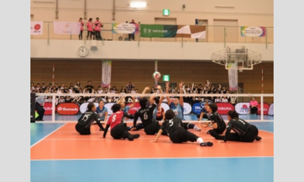 パラバレーボール交流会 イベント画像3