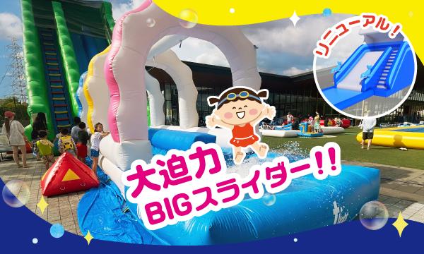 【7/31(木)】安満遺跡公園ぽよじゃぶウォーターパーク 2025 イベント画像2