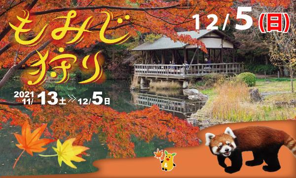 名古屋市東山総合公園の【12月5日(日)入園分】東山動植物園入園予約イベント