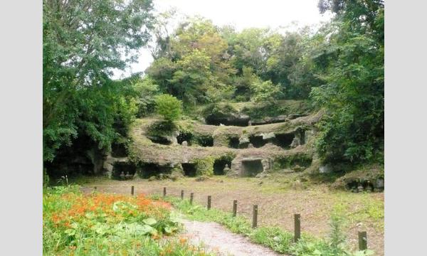 【マナビノキ自然学校】古都鎌倉ハイキング〜限定公開まんだら堂やぐらから最古のお寺杉本寺まで、秋の鎌倉を歩こう〜 in神奈川イベント