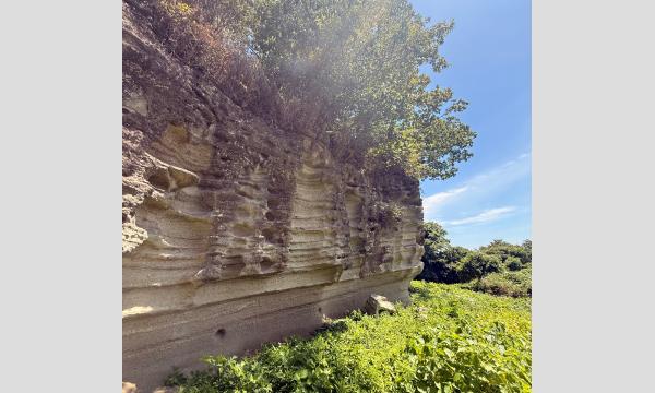 【マナビノキ自然学校】古都鎌倉ハイキング〜限定公開まんだら堂やぐらから最古のお寺杉本寺まで、秋の鎌倉を歩こう〜 イベント画像2