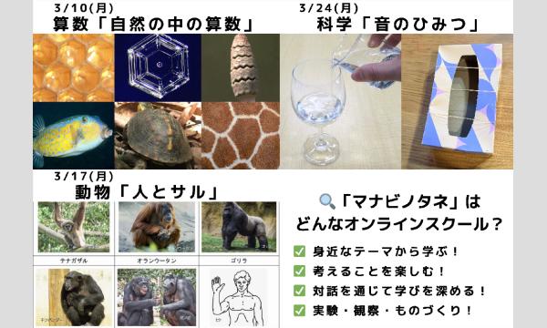 オンラインスクール「マナビノタネ」 体験会のご案内 イベント画像2