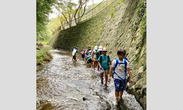 マナビノキ　川をたどる冒険！滑川ウォーク＆滝あそび in神奈川イベント