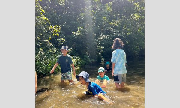 マナビノキ　川をたどる冒険！滑川ウォーク＆滝あそび イベント画像2