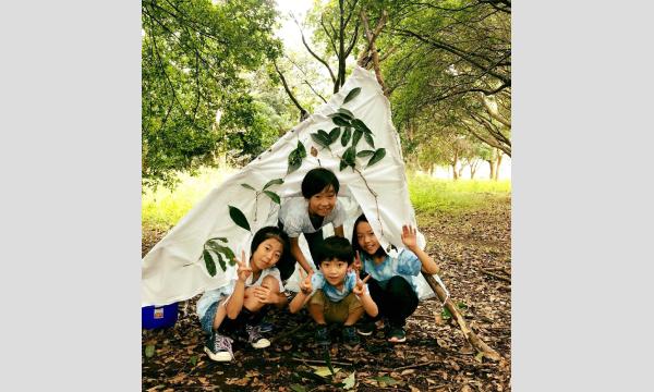【マナビノキ自然学校】秘密基地を作ろう！ in神奈川イベント