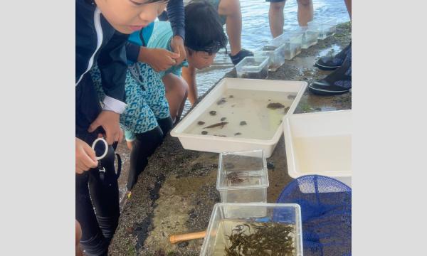 【マナビノキ自然学校】冬の海で岸壁採集してみよう！ in神奈川イベント