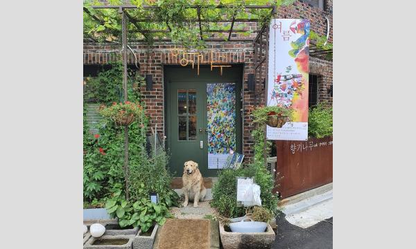 【オンライン・参加費無料】韓国とつながるオンライン書店ツアー イベント画像1