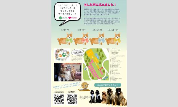 第1回 ワン博フェス(12月7日開催 予備日14日) イベント画像2