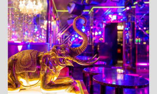 【フェムマニ】フェム限定オフ会+フェムオンリークラブイベントのハイブリッドParty イベント画像2