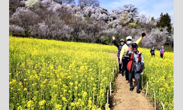 ２０２６ふくしま花ウオーク イベント画像2