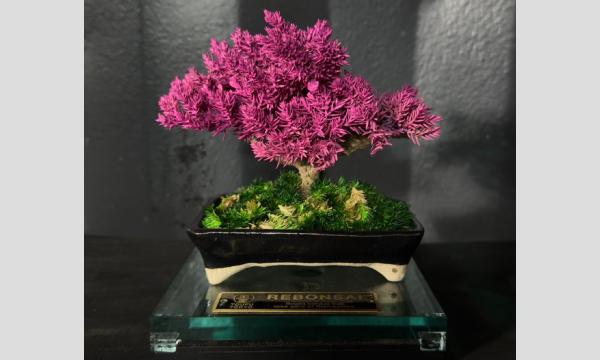 ≪RE BONSAI WORKSHOP at GOOD EDITION京都≫ イベント画像1