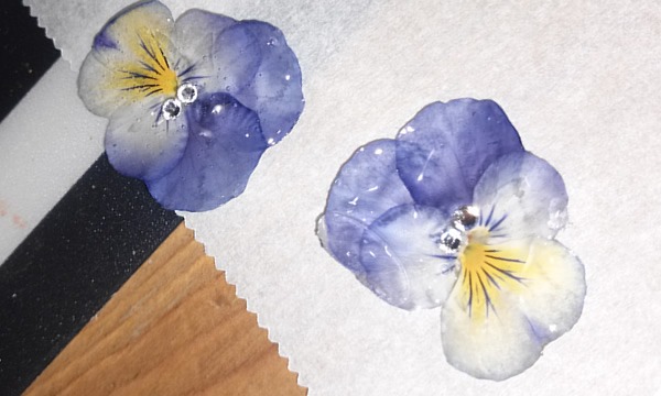 押花で作る春のワンポイントアクセサリー講座