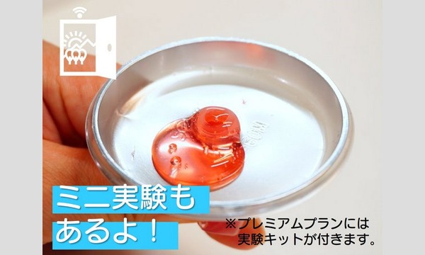 【親子で！】萩ジオパーク・小さな火山探検隊【オンラインツアー】 イベント画像3